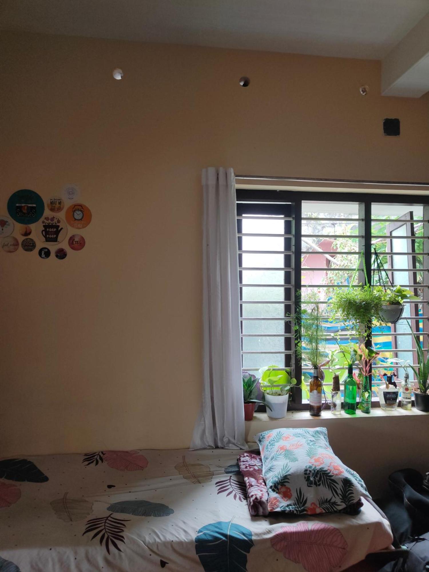 Jeehaa Homestay Alappuzha Extérieur photo