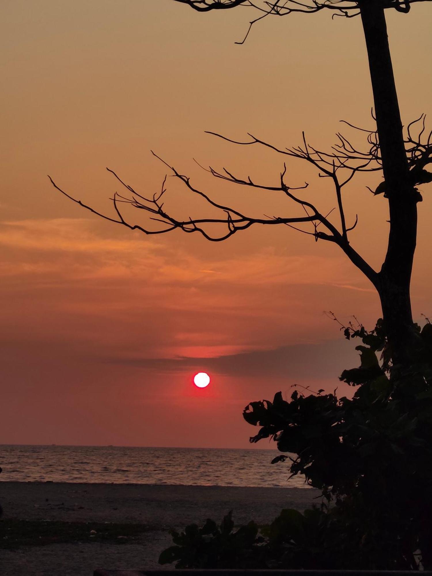 Jeehaa Homestay Alappuzha Extérieur photo