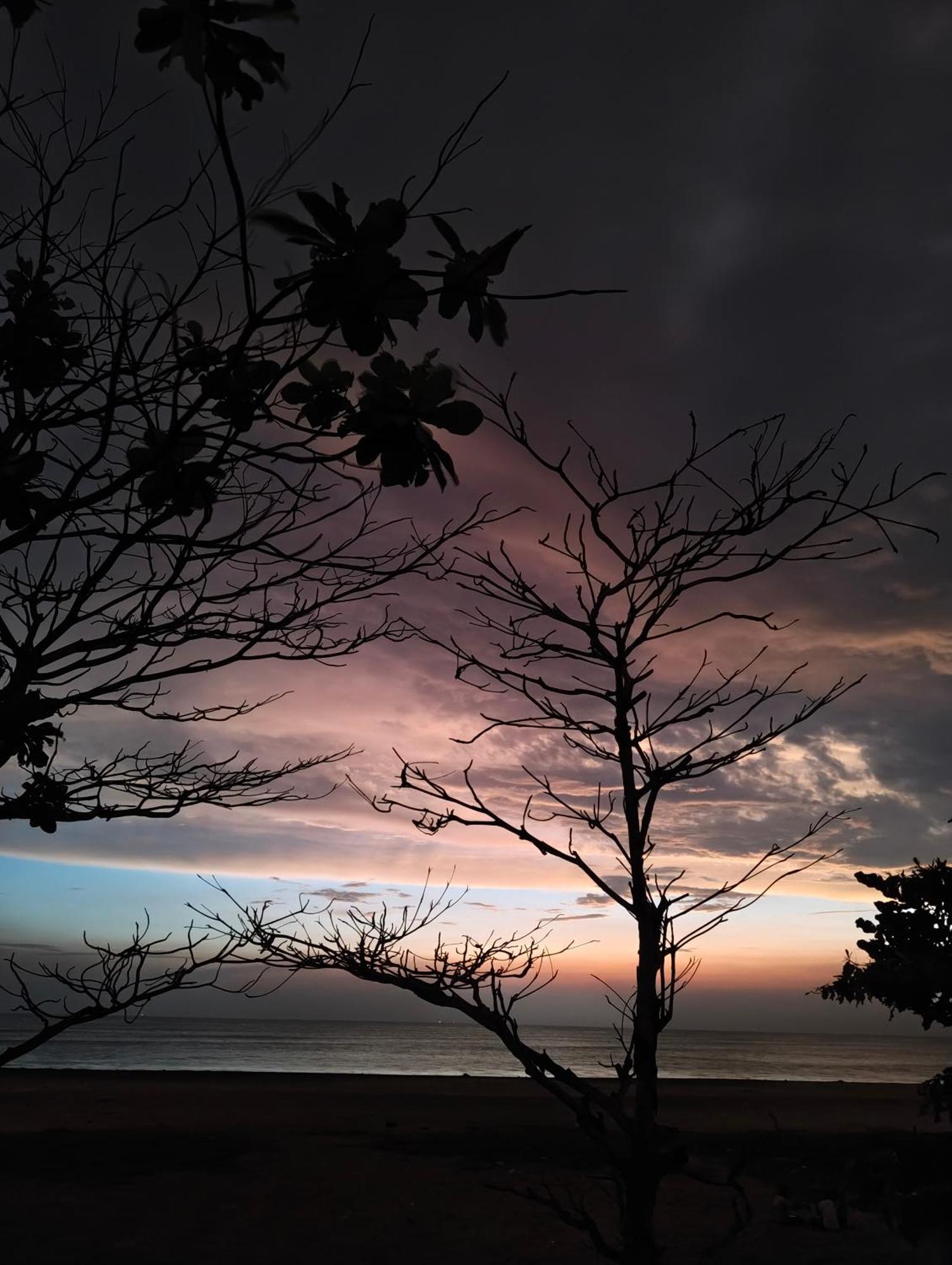 Jeehaa Homestay Alappuzha Extérieur photo